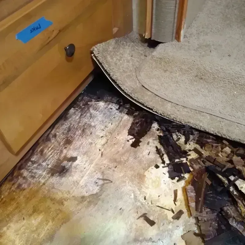 Wood Floor Water Damage in Oakland, NJ